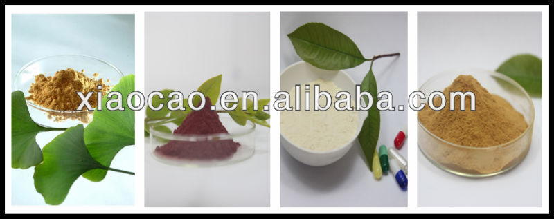 Manufacturer Supply Pure Instant Green Tea Extract Catechin 70%