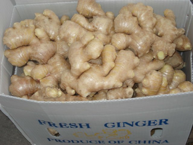 fresh ginger and ari-dried ginger