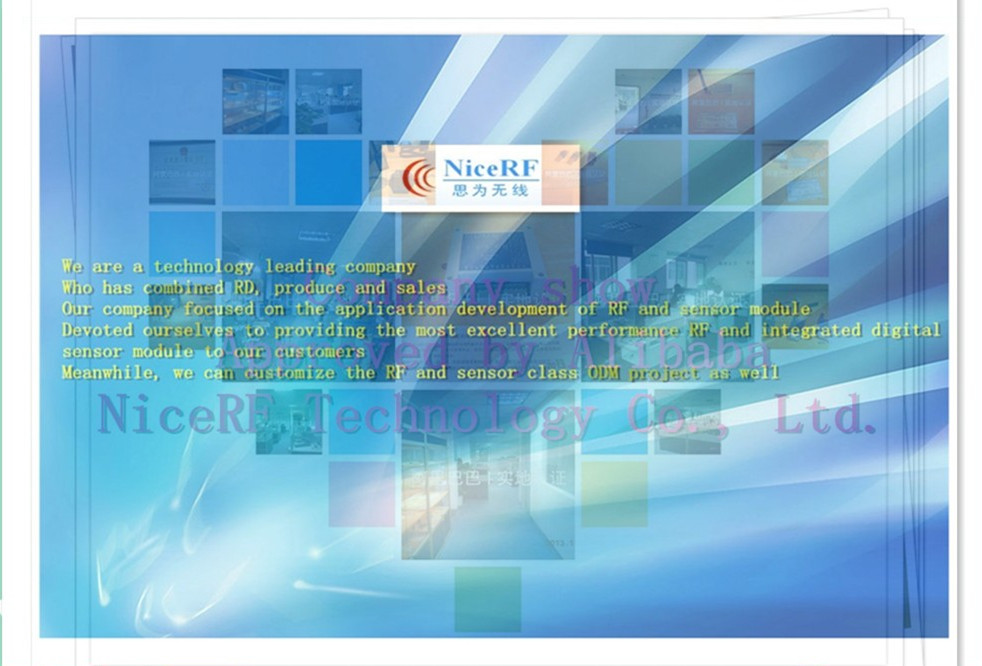Company information.jpg