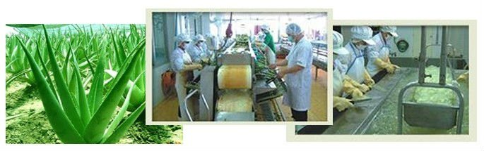 factory1.jpg