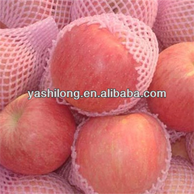 all sizes, high quality,Shandong fresh red fuji apple