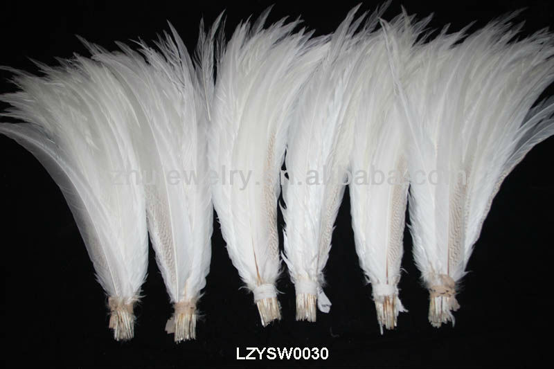 漂白、 染色のlzysw0027a銀キジの尾羽仕入れ・メーカー・工場