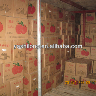 export Red apple in lowest price for buyer who bulk buy from china