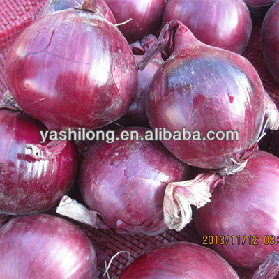 fresh red onion price with hightest quanlity in best competitive price from China