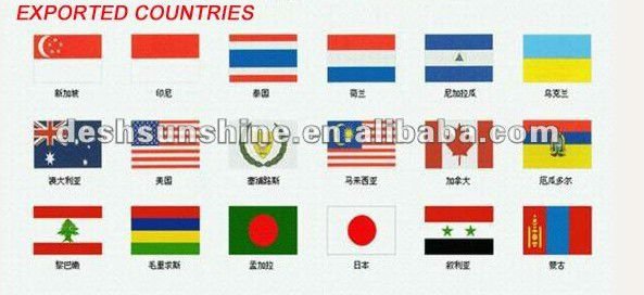 2012 Grade A the Best china new crop onion price