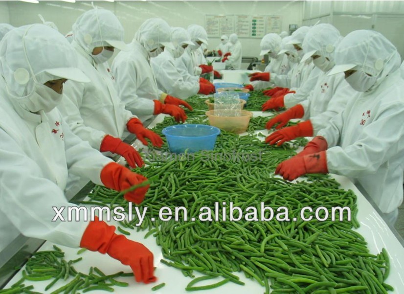 Chinese bulk frozen whole green beans
