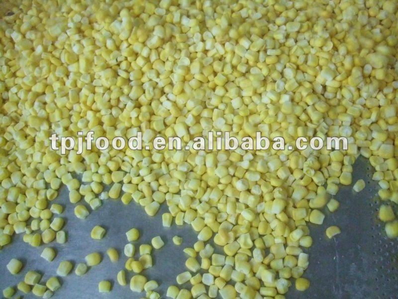 new frozen corn kernel with FDA,HALAL,BRC