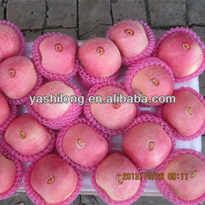 export Red apple in lowest price for buyer who bulk buy from china