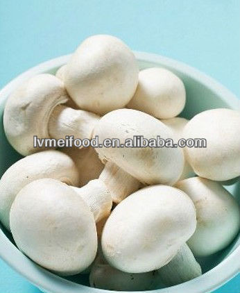 whole mushrooms in brine in Drum