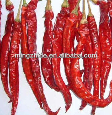hot pepper,red chilli importers