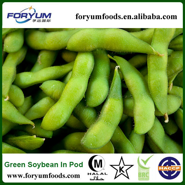 Chinese 2013 New Crop organic soybean