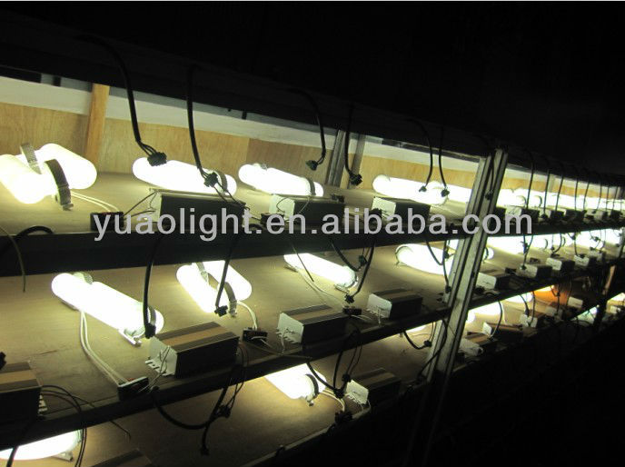 磁気誘導の工場照明の誘導庭の照明仕入れ・メーカー・工場