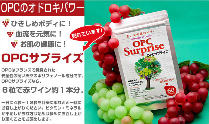 高品質の天然capsulel食事療法の丸薬日本opc問屋・仕入れ・卸・卸売り