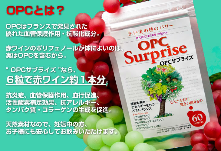 高品質の天然capsulel食事療法の丸薬日本opc問屋・仕入れ・卸・卸売り