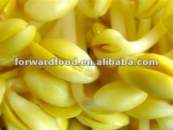 canned soybean sprouts in glass jars