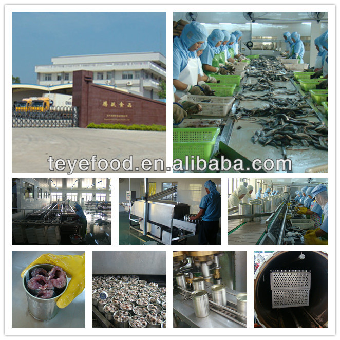 Canned mackerel, canned sardine