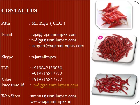 contact us .jpg