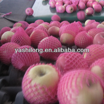 offer red hightest quality of apple fruit with the best price to fruit agents from China