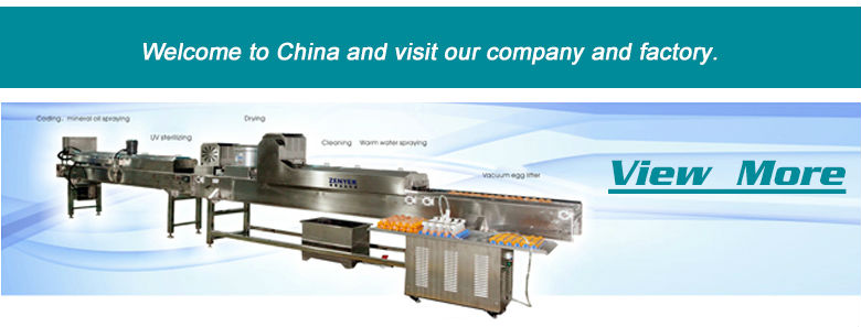 newest factory outlet automatic egg shell breacking machine OEM