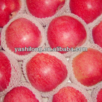 offer red hightest quality of apple fruit with the best price to fruit agents from China