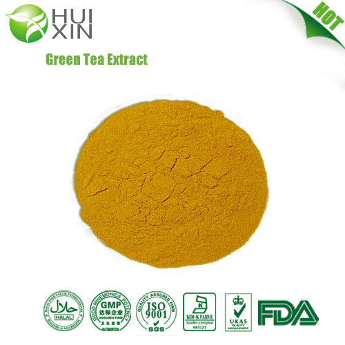 green tea extraction polyphenols powder