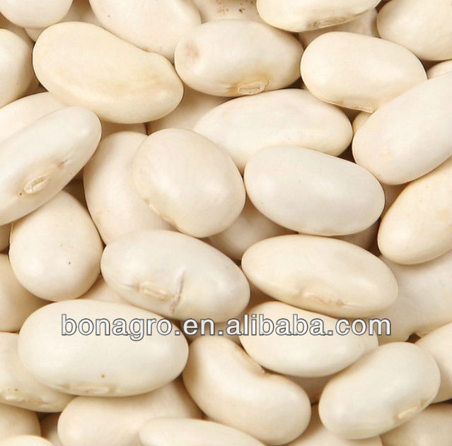 purple speckled kidney bean 2014 crop tops pp woven bag 50kg china supplier