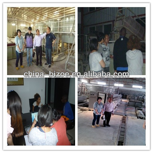 New type/competitive price/has more than 20 year experience cassava machine