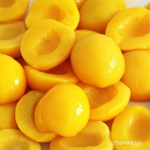 2500g canned yellow peach half sliced and diced in syrup uea food manufacture kosher food canned foodstuff