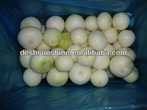 Peeled Red Onion Ring 2014 Supplier