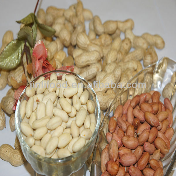 peanut kernel for butter
