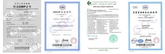 High quality natural Green tea Extract powder
