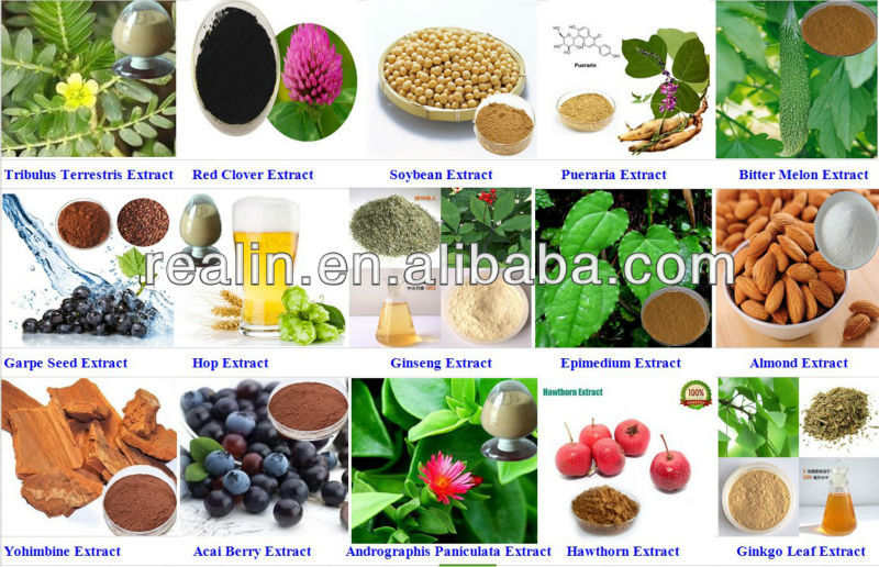 Factory Supply Green Tea Theanine,L-Theanine Powder,L-Theanine