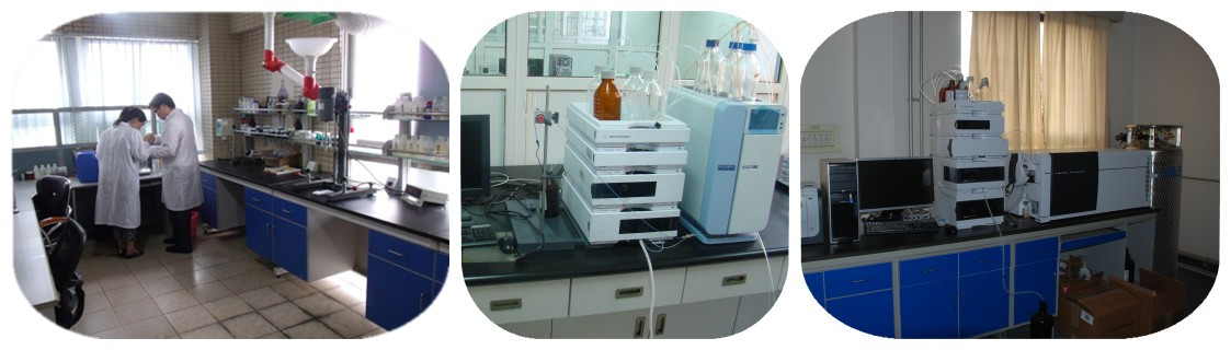 Pure eucommia ulmoides extract supplier (Chlorogenic acid 5%-99%)