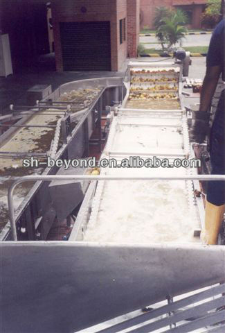 complete mango pulp production line made in china