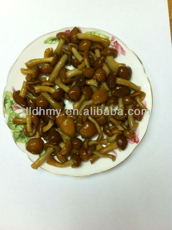 chinese canned mushroom nameko