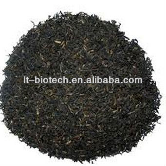 High Quality Oolong Tea Extract Powder in Bulk Supply