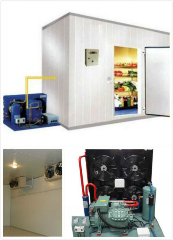 cold room for meat used in Africa countries