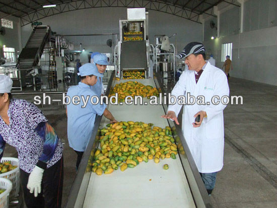 complete mango pulp production line made in china