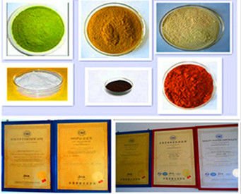 Pure and Natural Instant Tea Powder