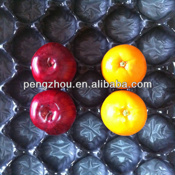China customed pp plastic food tray
