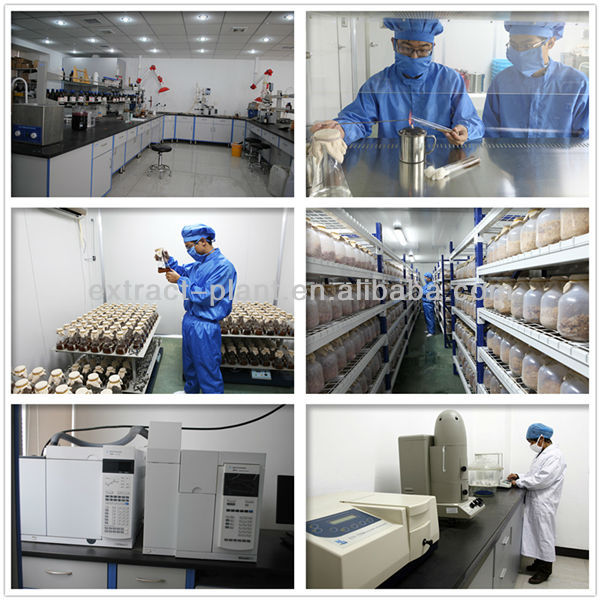 Cinnamon extract factory supply with high quality