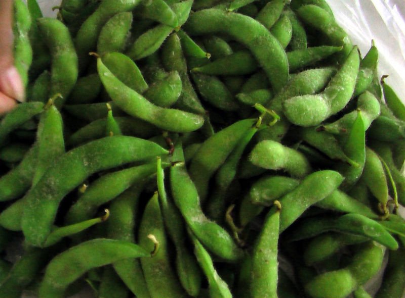 2014 IQF Shelled edamame soy beans