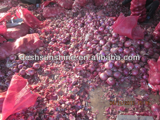 2013 new crop gansu red onions