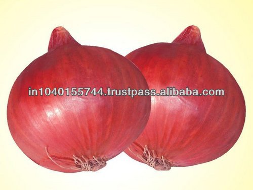 FRESH RED ONION FOR SALE