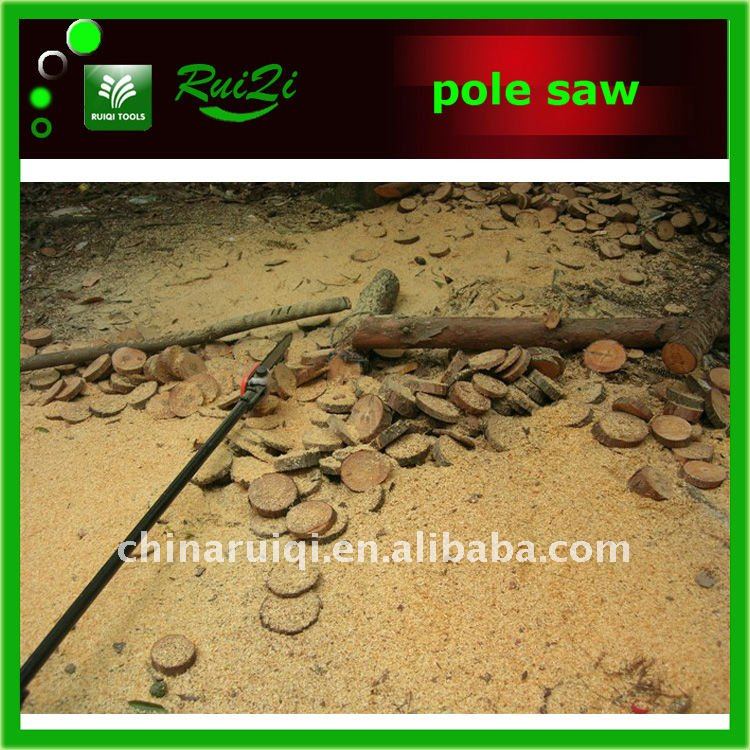 long pole saw2.jpg