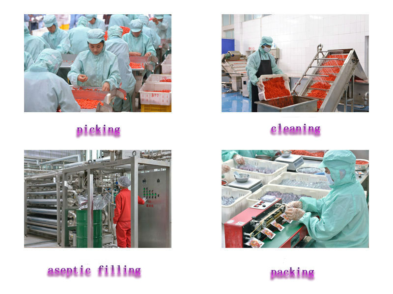 Wholesale Ningxia goji berries