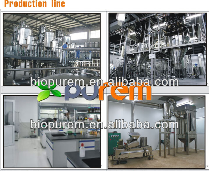 Cacao bean extract powder