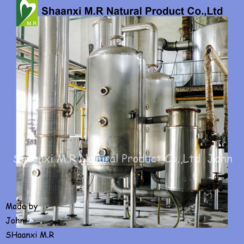 Top Quality Saffron Extract Powder
