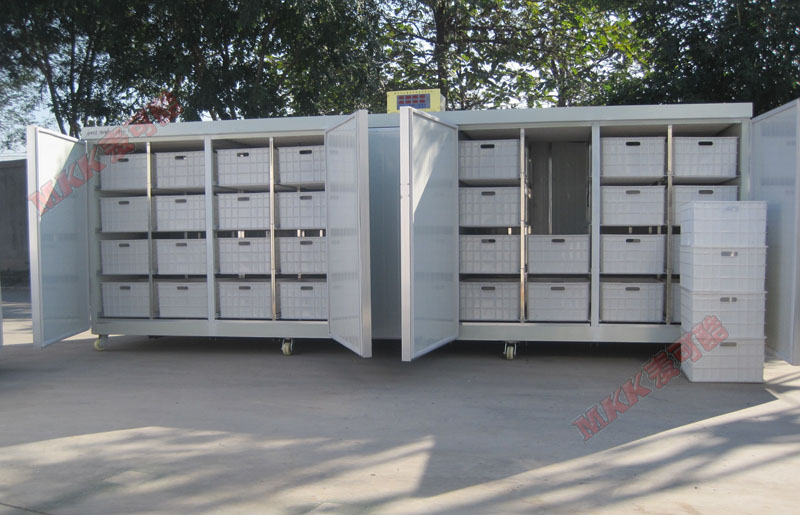 Bean sprout machine Mkk60