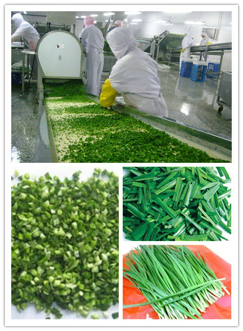 2014 new IQF Leek cut